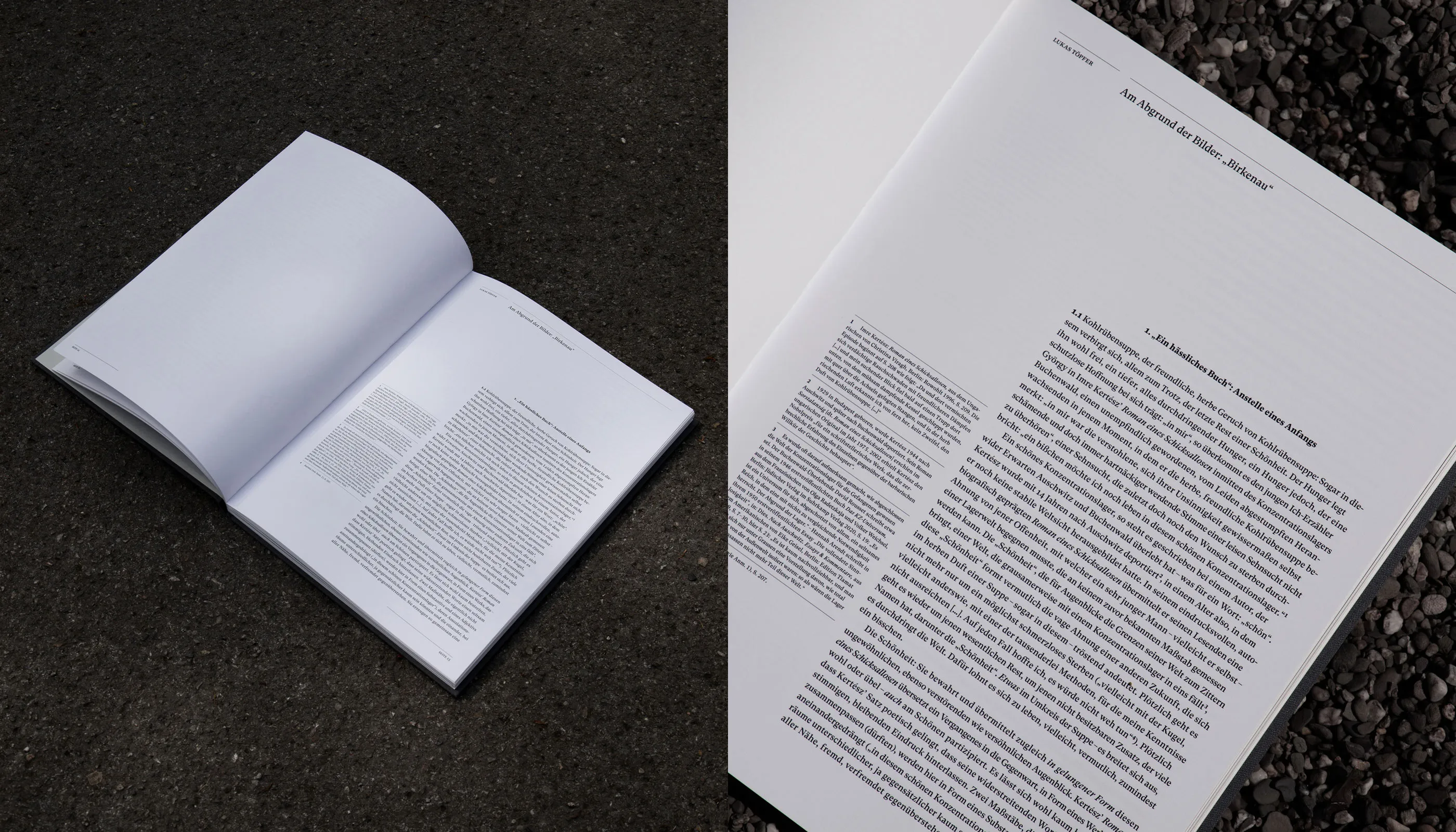 Am Abgrund der Bilder, Art Catalog, Michael Müller, Alien Athena Foundation, De Gruyter, Deutscher Kunstverlag, Städel Museum Frankfurt, editorial design, publication