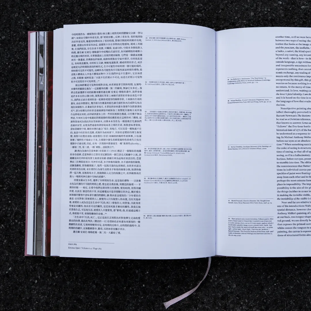 Catalogue Raisonné, Der geschenkte Tag: Kastor und Polydeukes, Michael Müller, Alien Athena Foundation, Deutscher Kunstverlag, De Gruyter