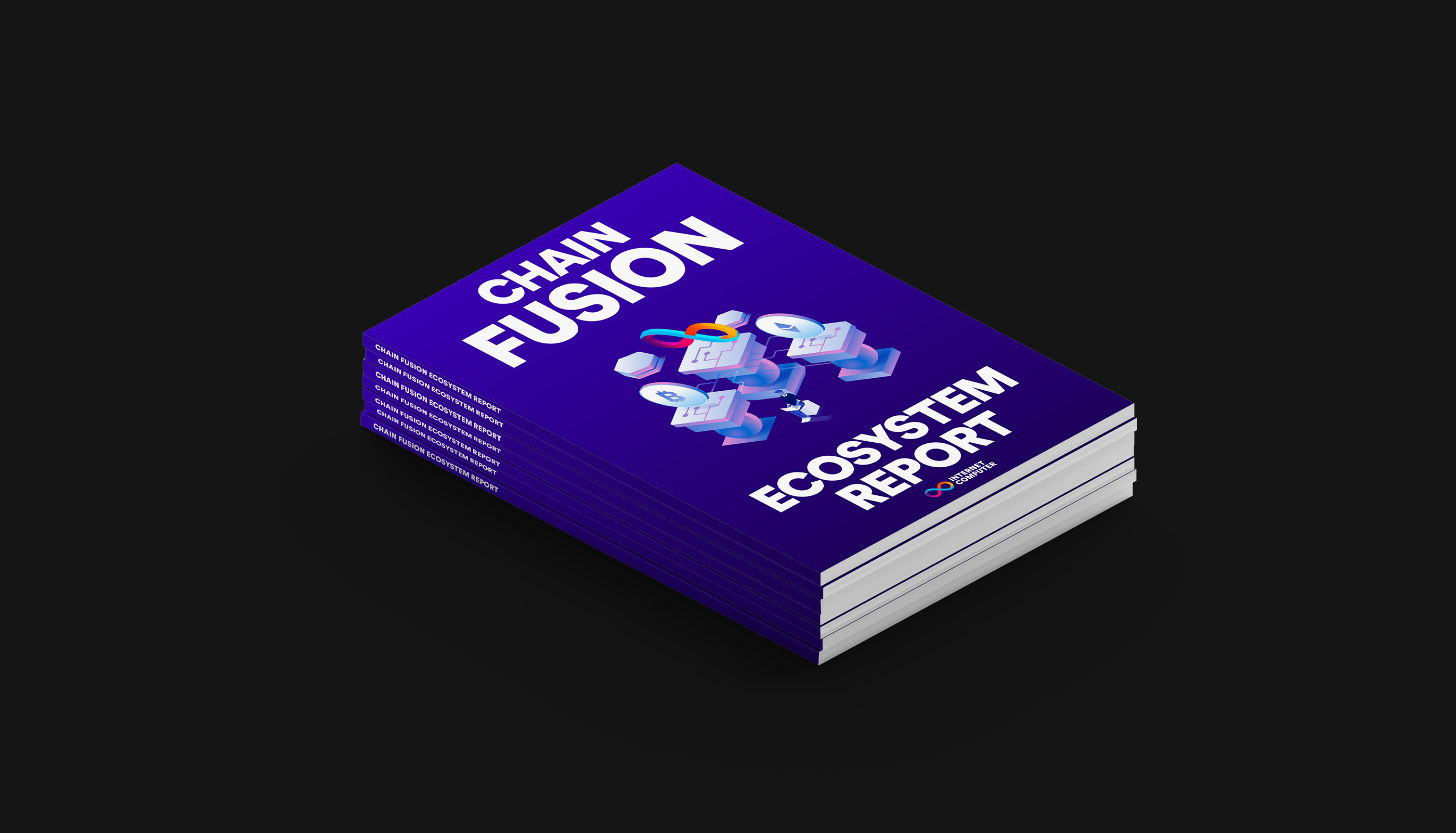 Sechs Monate Amerika, Publication, Foto Book, editorial design