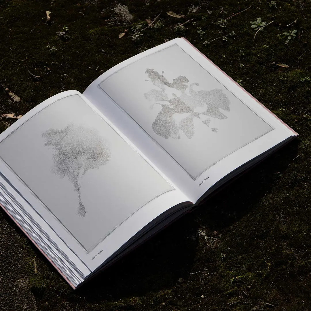 studio michael müller, web design, art direction, branding, ux ui