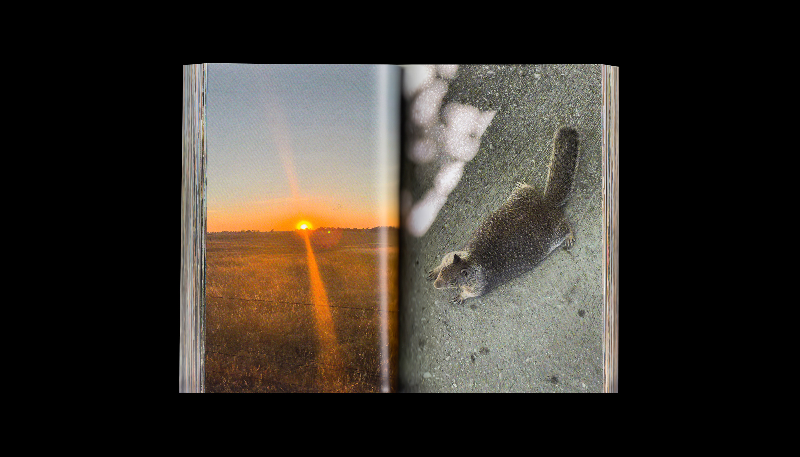 Sechs Monate Amerika, Publication, Foto Book, editorial design