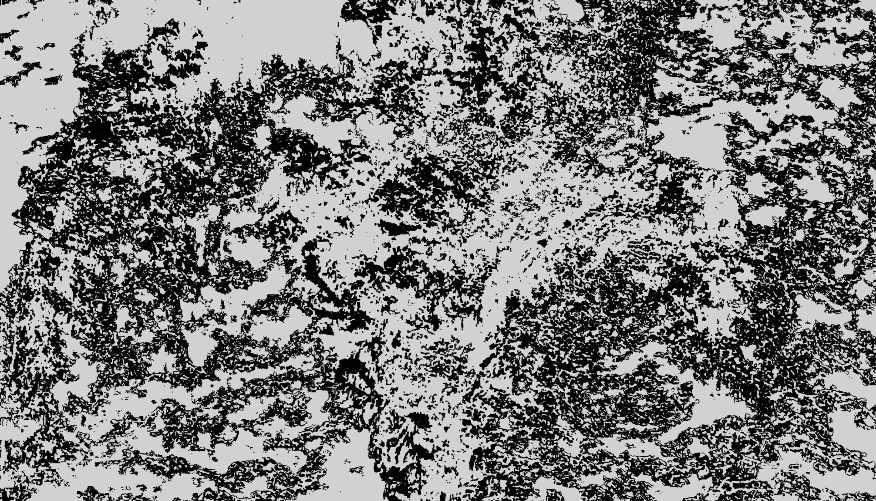 tracing Gurro, form studies, italy, mountains
